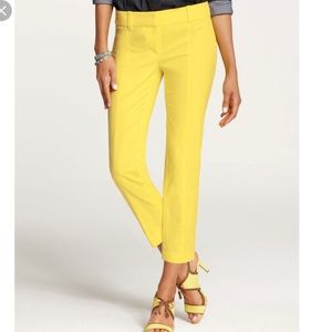 Size 8P Ann Taylor dress pants